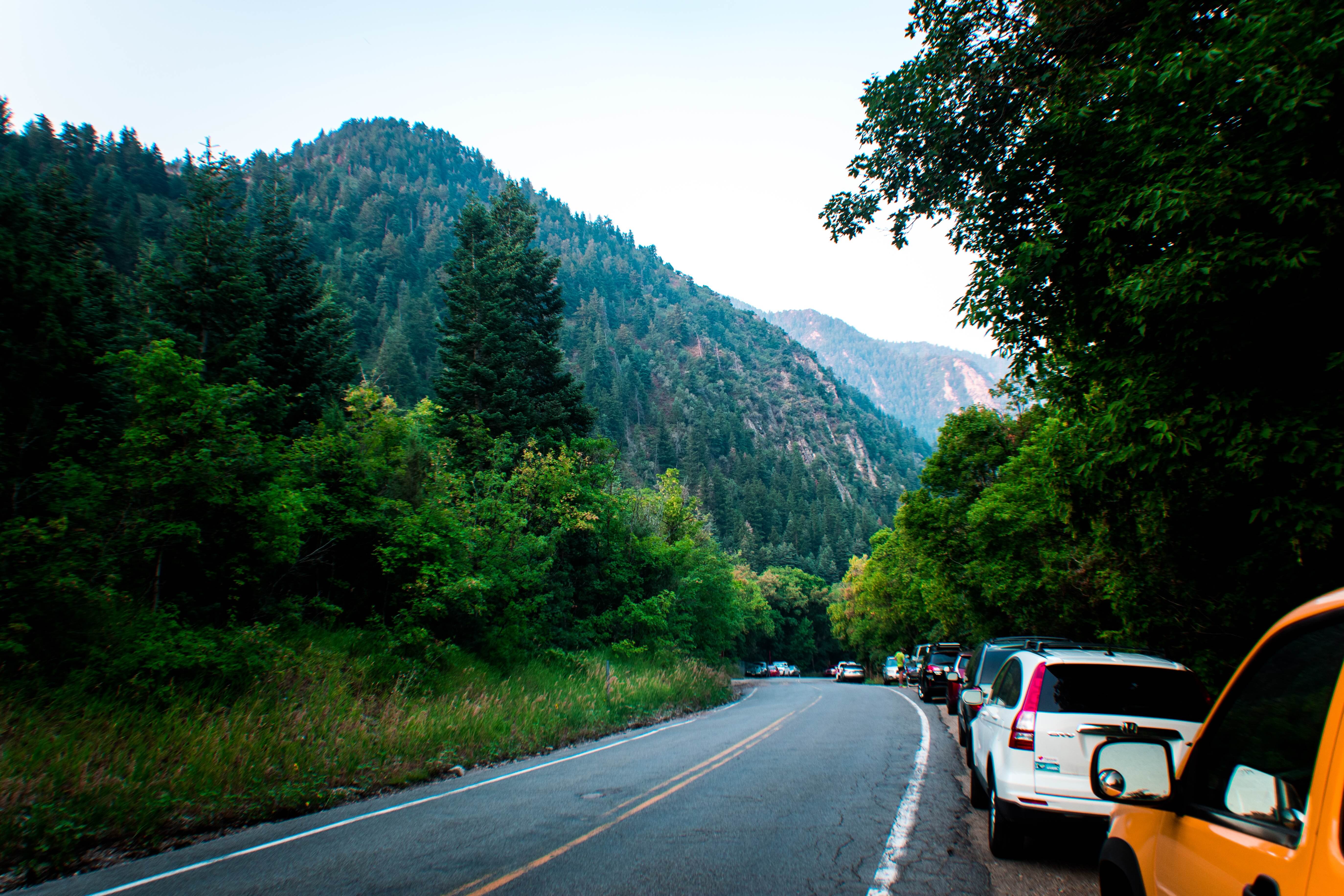 Architecto sint ut l